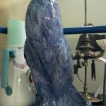 187 7387 Figurin